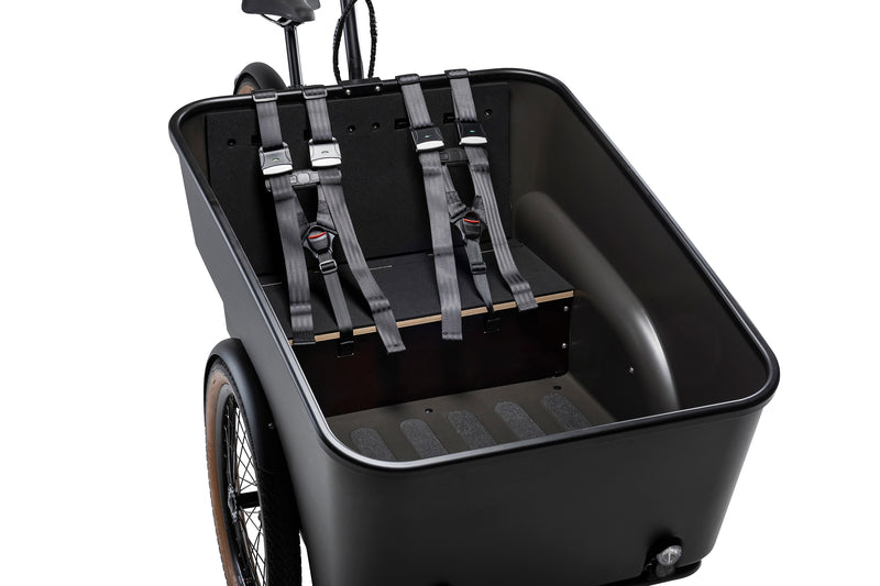 Dynamic Cargo 3 | Centermotor